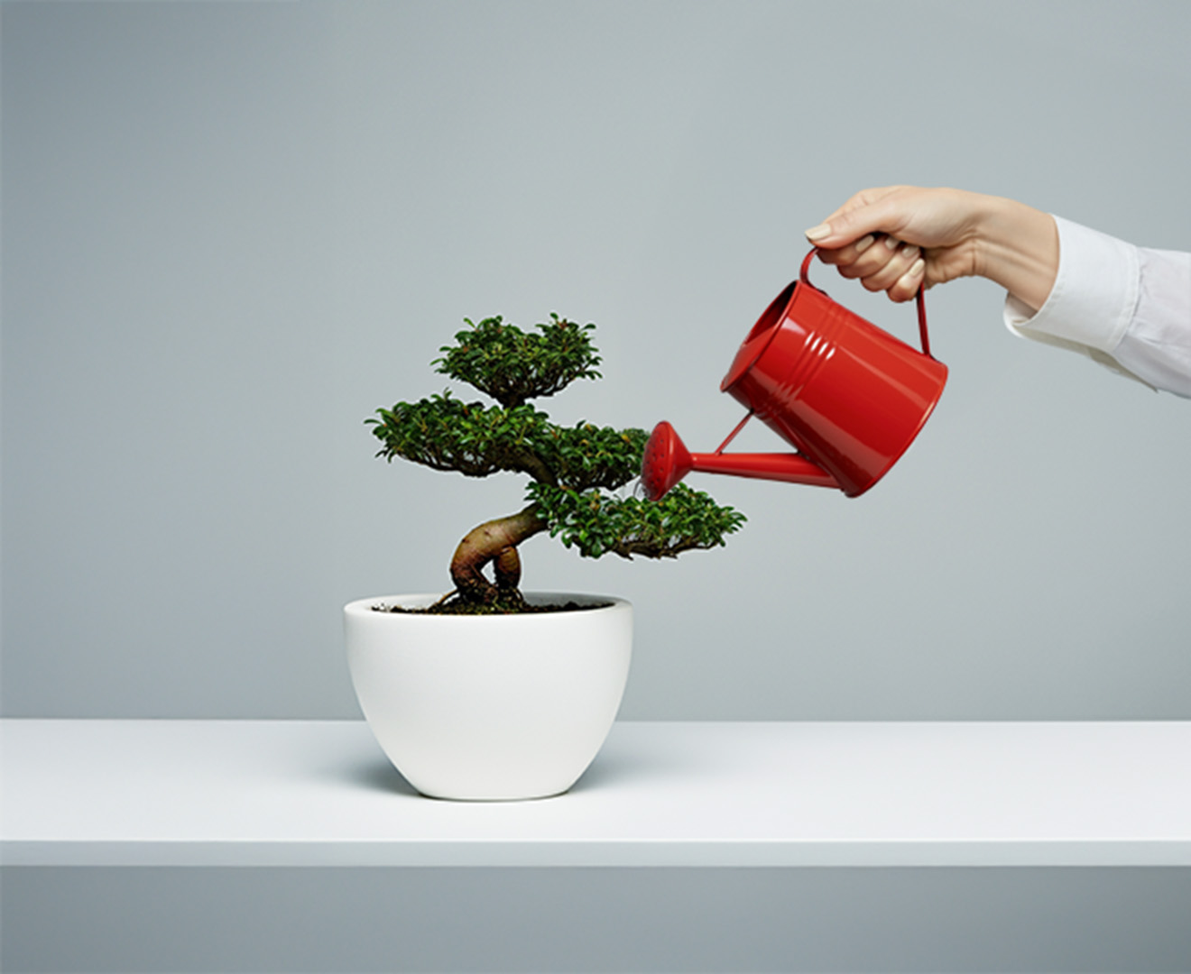 Fixed-term deposit for companies