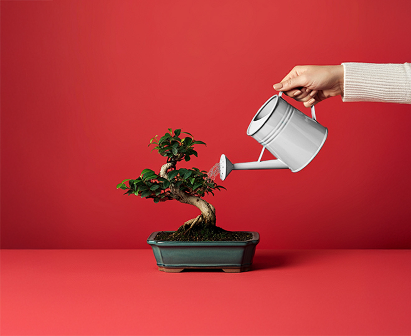 Fixed-term deposit