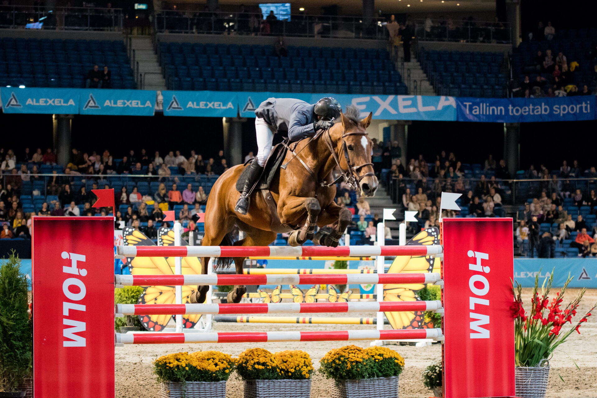 Tallinn International Horse Show