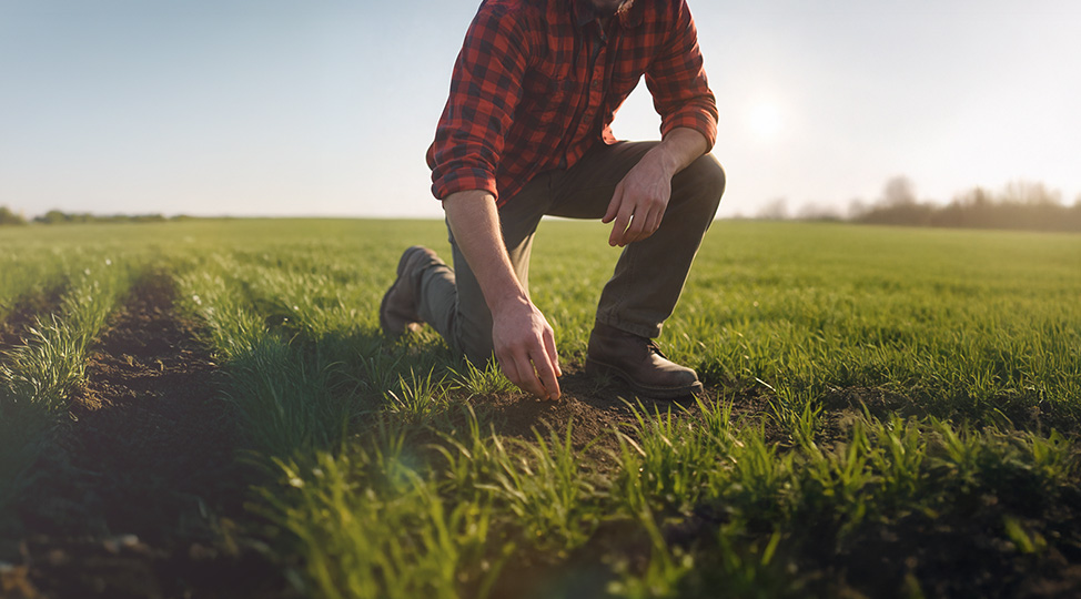 Refinantseeri oma laenud