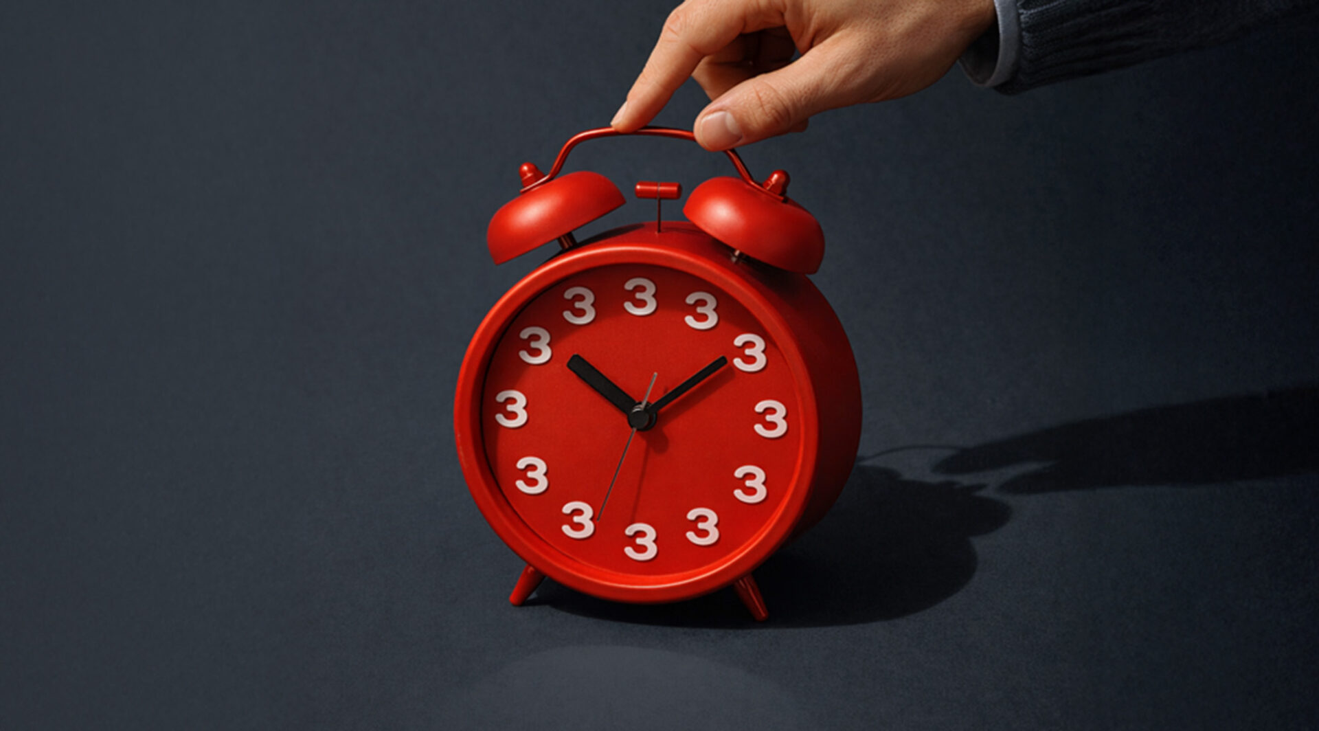 Tähtajaline hoius ettevõtetele